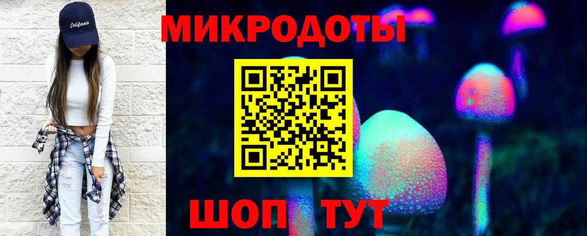 Галлюциногенные грибы Psilocybe Урай